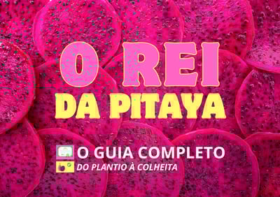 Guia Completo da Pitaya